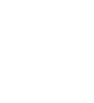 Atom Icon