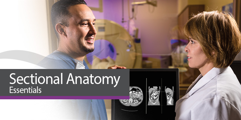 Sectional Anatomy Essentials: The Series