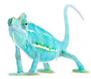 Flex Chameleon