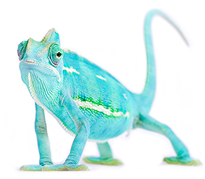 Flex Chameleon