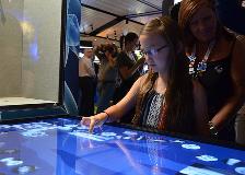 Skeleton touch table