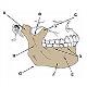 HumanSkeletalAnatomy_ModuleNine