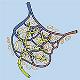 RT_Lymphatics_Module1