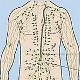 RT_Lymphatics_Module3