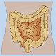 RT_Lymphatics_Module7