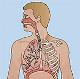 RT_Lymphatics_Module8