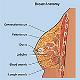 RT_Lymphatics_Module9