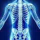 xray-torso