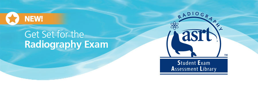 Student Exam Assessment Library (S.E.A.L.)