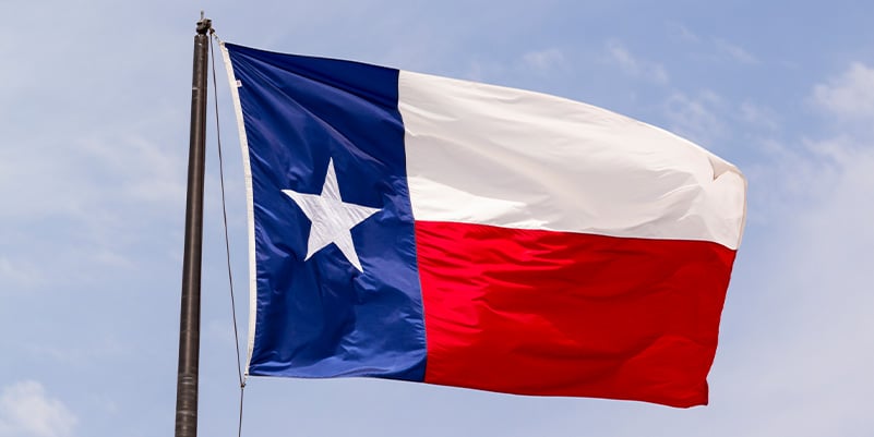Texas Flag