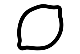 lemon3