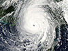 Hurricane Michael
