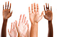 Volunteer