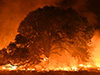 Wildfire Image © GettyImages/CampPhoto