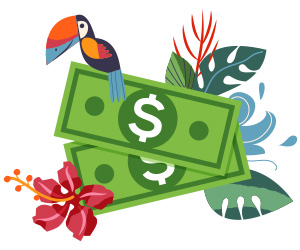 Cash Prizes