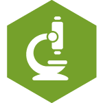 Research Grant icon