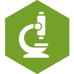 Research Grant icon